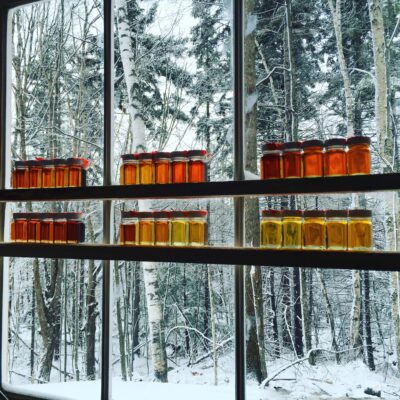 Jars of Maple syrup lined up in front of a wondow showing different grades and colors.