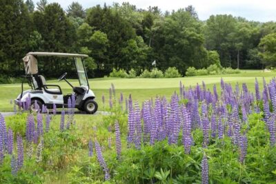 Blooming flowers and a golf cart on the course at Quechee Lakes